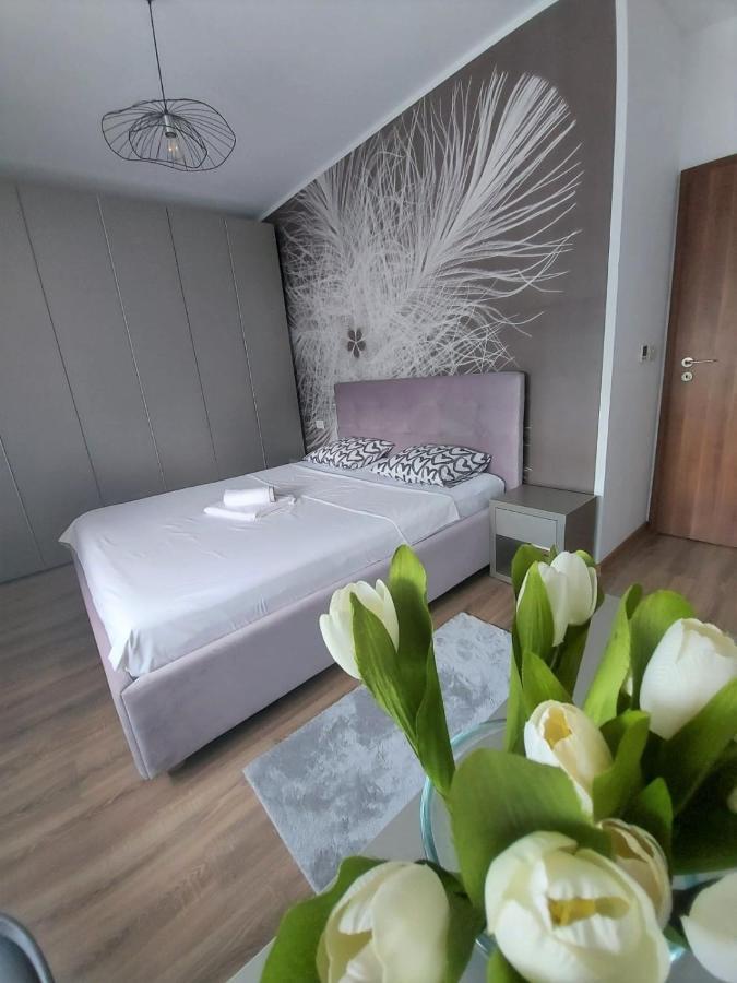 Paula Apartment Dumbravita  Ngoại thất bức ảnh